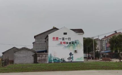 龙州新农村墙绘